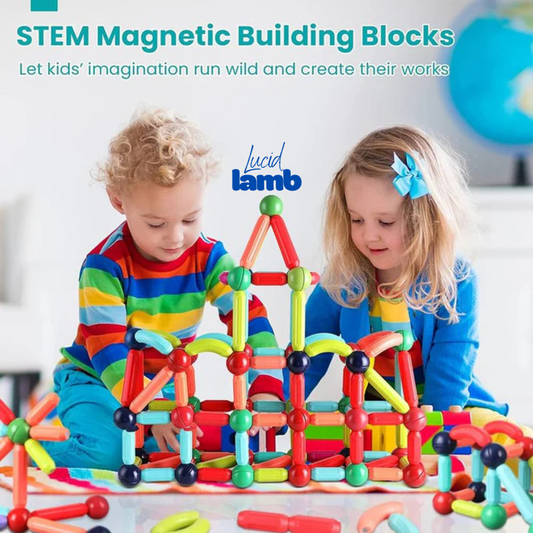 MagnoMind by Lucid Lamb™